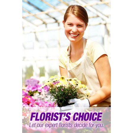 Florist Choice 1